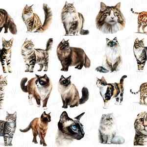 Funny cat clipart
Cat silhouettes
Cat mom illustration
Cat dad graphic
Cat themed pattern elements
Scrapbooking cat elements
Planner stickers cat
Digital paper making
Sublimation cat designs
T-shirt printing cat
Mug printing graphic
Personalized gifts cat
Custom portrait elements