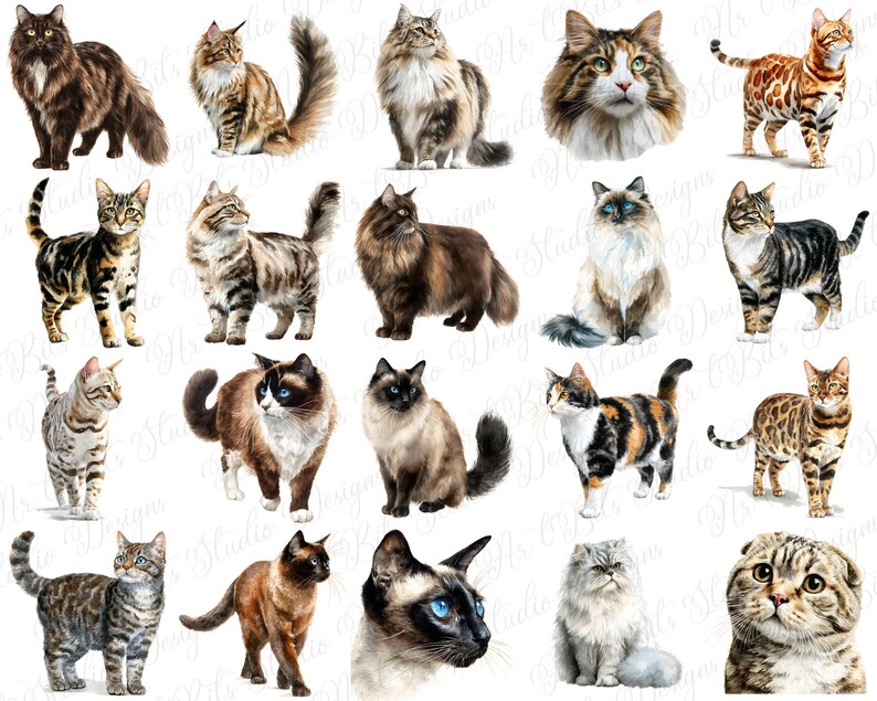 Funny cat clipart
Cat silhouettes
Cat mom illustration
Cat dad graphic
Cat themed pattern elements
Scrapbooking cat elements
Planner stickers cat
Digital paper making
Sublimation cat designs
T-shirt printing cat
Mug printing graphic
Personalized gifts cat
Custom portrait elements