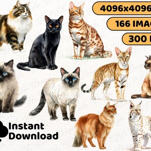 Siamese cat clipart
Persian cat illustration
Maine Coon clipart
Ragdoll cat graphic
Bengal cat illustration
Sphynx cat clipart
Scottish Fold illustration
British Shorthair clipart
Abyssinian cat graphic
Burmese cat clipart
Exotic Shorthair illustration
Siberian cat graphic
Domestic Shorthair clipart
Tabby cat illustration