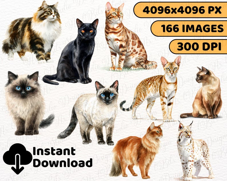 Siamese cat clipart
Persian cat illustration
Maine Coon clipart
Ragdoll cat graphic
Bengal cat illustration
Sphynx cat clipart
Scottish Fold illustration
British Shorthair clipart
Abyssinian cat graphic
Burmese cat clipart
Exotic Shorthair illustration
Siberian cat graphic
Domestic Shorthair clipart
Tabby cat illustration