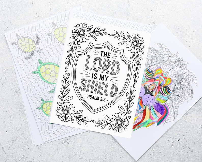 May include: Three coloring book pages. One features turtles in shades of green and gray. Another has a shield design with the text "THE LORD IS MY SHIELD - PSALM 3:3". The third page has a colorful lion design.