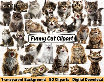 80 grappige kat clipart, eigenzinnige dieren PNG, knorrige katten, grillige kitten-graphics, dieren clipart