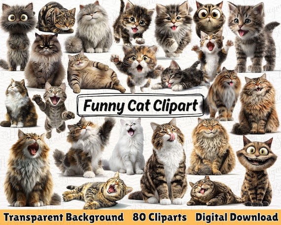 80 Funny Cat Clipart, Quirky Animal PNG, Grumpy Cats, Whimsical Kitten Graphics, Animals Clipart