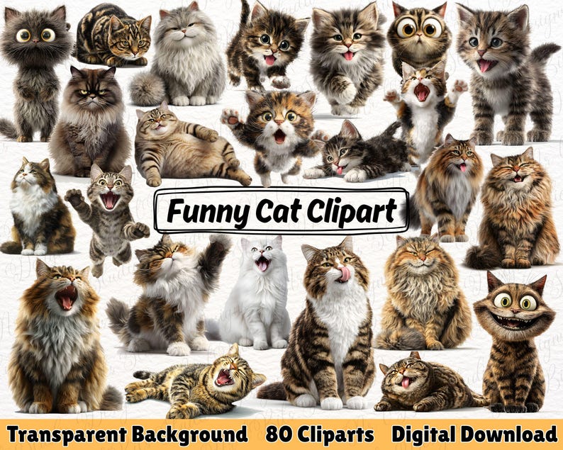 Humorous cat clipart
Silly cat graphics
Funny feline bundle
Comical cat illustrations
Cat meme clipart
Wacky cat PNG pack
Crazy cat digital art
Digital cat stickers
Cat lover clipart
Kitten clipart bundle
Adorable funny cat
Printable cat clipart
Digital download cat
Commercial use cat art