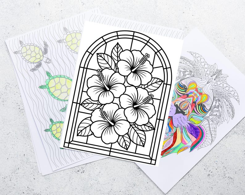 May include: Three coloring book pages. One features a black and white hibiscus flower design, another has a lion with colorful details, and the third shows turtles swimming in the ocean. The pages are on a light gray surface.