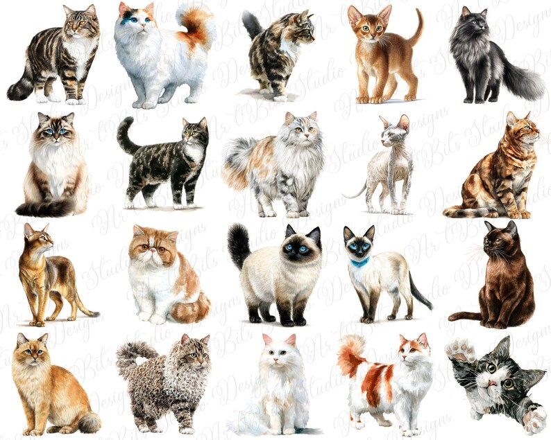 Card making cat clipart
Invitation design elements
Nursery decor cat
Baby shower cat theme
Digital art creation
Sticker making resource
Small business use graphics
Etsy shop branding
Logo design elements
Website graphics cat