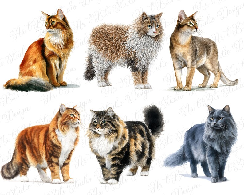 May include: A collection of six cat illustrations. The cats feature various fur colors and patterns, including orange, brown, gray, and black. Each cat is depicted in a realistic style, showcasing their unique features and poses. The image is set against a white background.