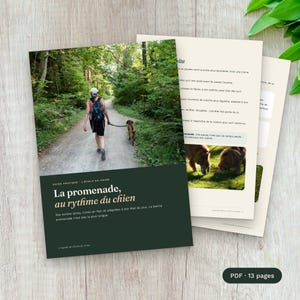 Dog walking guide PDF, outings at a sniffing pace, encounters, emergencies, printable checklist