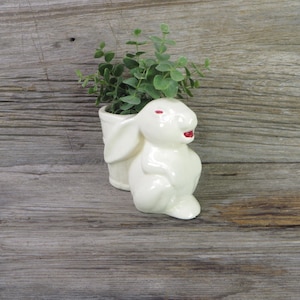 May include: White ceramic bunny planter with red eyes and a small plant inside. The planter is sitting on a wooden surface.