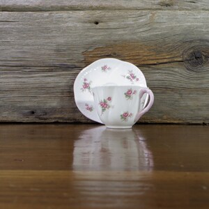 英国シェリー　クイーンアン　Dainty Rose　BBプレート　F6 英国シェリー クイーンアン Dainty Rose BBプレート F6