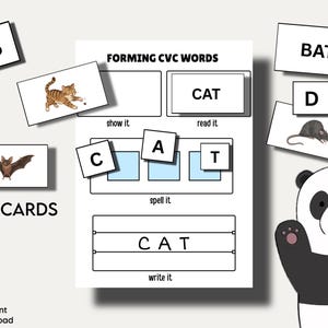 May include: An educational worksheet titled FORMING CVC WORDS with sections for show it, read it, spell it, and write it. The sheet includes letter tiles C, A, T, and cards featuring a cat, bat, and rat, plus 50 cards and a panda illustration.