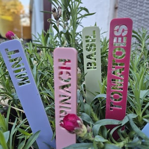 Può includere: Quattro segnaposto per piante rettangolari in azzurro, rosa chiaro, verde pallido e rosa scuro. Ogni segnaposto presenta un testo tagliato al laser che recita MINT, SPINACH, BASIL e TOMATOES verticalmente. Sono posizionati tra fogliame verde.