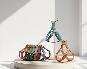Personalized PU Leather Dog Harness and Leash Set: Engraved Pet Name
