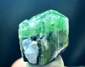 Pretty Green Cap Tourmaline Crystal From Afghanistan ~ 14.55CT