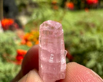 トルマリン結晶標本 ピンク 希少 パラ CA クイーン鉱山 TW36 - Etsy 日本