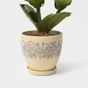 Puede incluir: Una maceta de cerámica color crema con su plato a juego, que presenta un patrón floral gris que rodea la parte superior. La maceta contiene una planta verde con hojas grandes y veteadas, con tierra oscura visible en la parte superior.