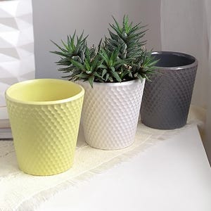 Könnte beinhalten: Drei Keramik-Blumentöpfe in Gelb, Weiß und Grau, jeweils mit einem strukturierten Rautenmuster. Die Töpfe enthalten grüne Sukkulenten. Eine weiße geometrische Vase mit getrocknetem Gras befindet sich im Hintergrund.