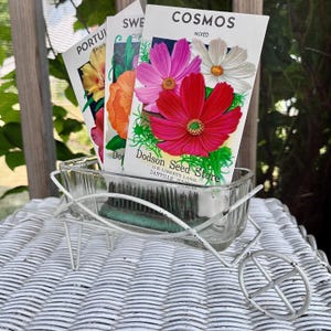 Puede incluir: Un recipiente rectangular de vidrio transparente con nervaduras verticales se asienta dentro de un marco de carretilla de metal blanco. Tres paquetes de semillas con ilustraciones coloridas de cosmos, guisantes de olor y portulaca.