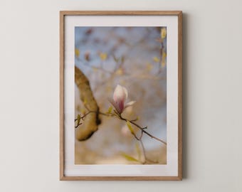 Magnolia Flower Photography Print – Fine Art Botanical Wall Art by Zoe Jean