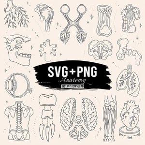Może przedstawiać: Kolekcja czarnych ilustracji anatomicznych w formie rysunków liniowych na jasnym tle, przedstawiająca narządy, kości i mięśnie. Centralna czarna grafika zawiera biały tekst SVG+PNG Anatomy INSTANT DOWNLOAD, otoczony ikonami mózgu, serca, płuc, oka i struktur szkieletowych.