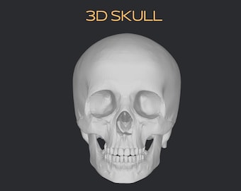 Skalle 3D-modell (OBJ-fil)