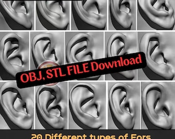 Öronanatomipaket - Dyk ner i detaljer med OBJ- och STL-filer