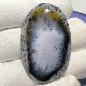 Puede incluir: Gema de ágata dendrítica de forma ovalada. La piedra presenta un centro blanco con inclusiones dendríticas negras y grises, rodeado por un borde translúcido con tonos amarillos y marrones. La superficie pulida refleja la luz.