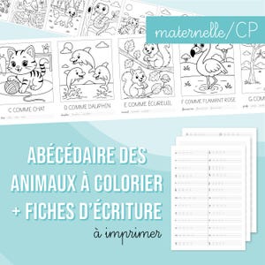 Coloring Book PDF - 50+ Pages FR | Cursive and Stick/Script Writing Worksheets for Kindergarten/First Grade | Digital File to Print
