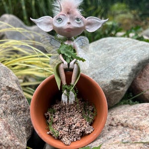 May include: A fairy figurine with large ears, delicate wings, and a pinkish complexion. The fairy is seated in a small terracotta pot filled with moss and small pebbles, surrounded by rocks and greenery.