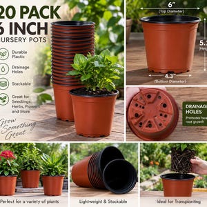 May include: A 20-pack of 6-inch nursery pots made of durable plastic. Each pot features a 6-inch top diameter, 4.3-inch bottom diameter, and 5.1-inch height. The pots are brown with black rims, stackable, and include drainage holes at the base.