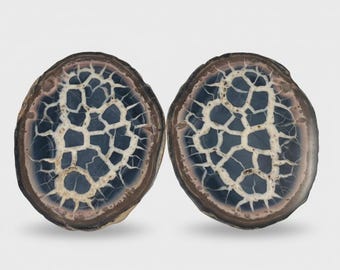Par de piedras de dragón septarianas poco comunes: conjunto de cristal natural de Marruecos / 3 cm–7 cm