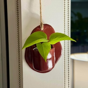 Puede incluir: Una maceta de pared de cerámica de color marrón rojizo oscuro brillante con una forma orgánica irregular. La maceta cuenta con un bolsillo cilíndrico que sostiene una pequeña planta pothos de color verde vibrante con hojas en forma de corazón, suspendida por un cordel de yute natural.