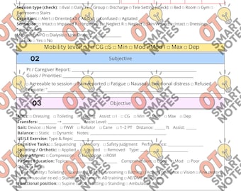 May include: A medical form with sections for patient information, vitals, and assessments. The form includes checkboxes and spaces for notes, with headings like "Subjective" and "Objective". The background is white with a light green and yellow border.