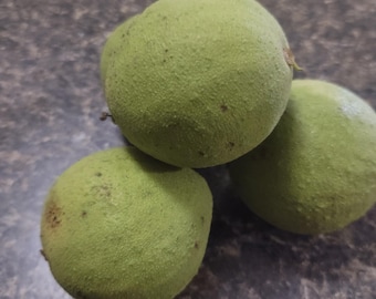 Organic Black Walnut Hull Powder: Natural Dye & Anti-Parasite