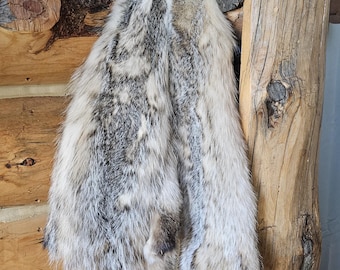 アメリカアナグマの毛皮 - Etsy 日本