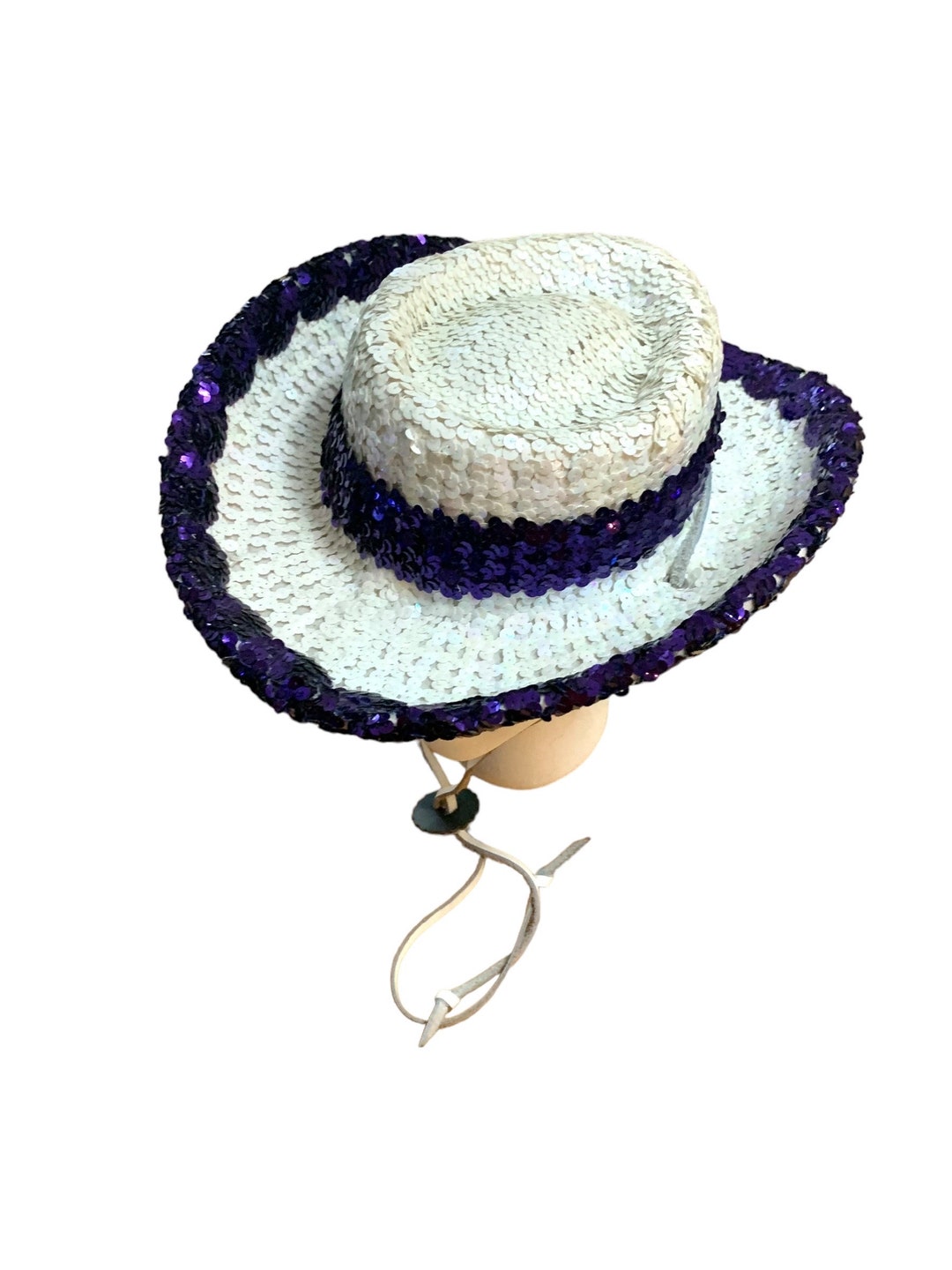 Adult Cheyenne Purple Hat main image 0