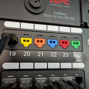 May include: Close-up of a black network rack panel with numbered ports and colorful RJ45 connectors. The connectors are yellow, orange, blue, red, and green. The panel includes the text "NetBotz Rack Access PX-HID".