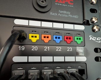 May include: Close-up of a black network rack panel with numbered ports and colorful RJ45 connectors. The connectors are yellow, orange, blue, red, and green. The panel includes the text "NetBotz Rack Access PX-HID".
