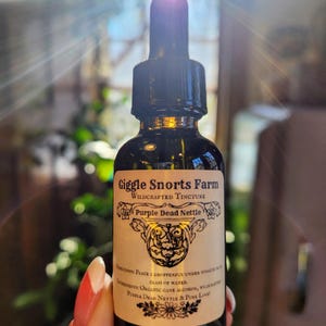Organic Purple Dead Nettle Tincture ~ Lamium purpureum