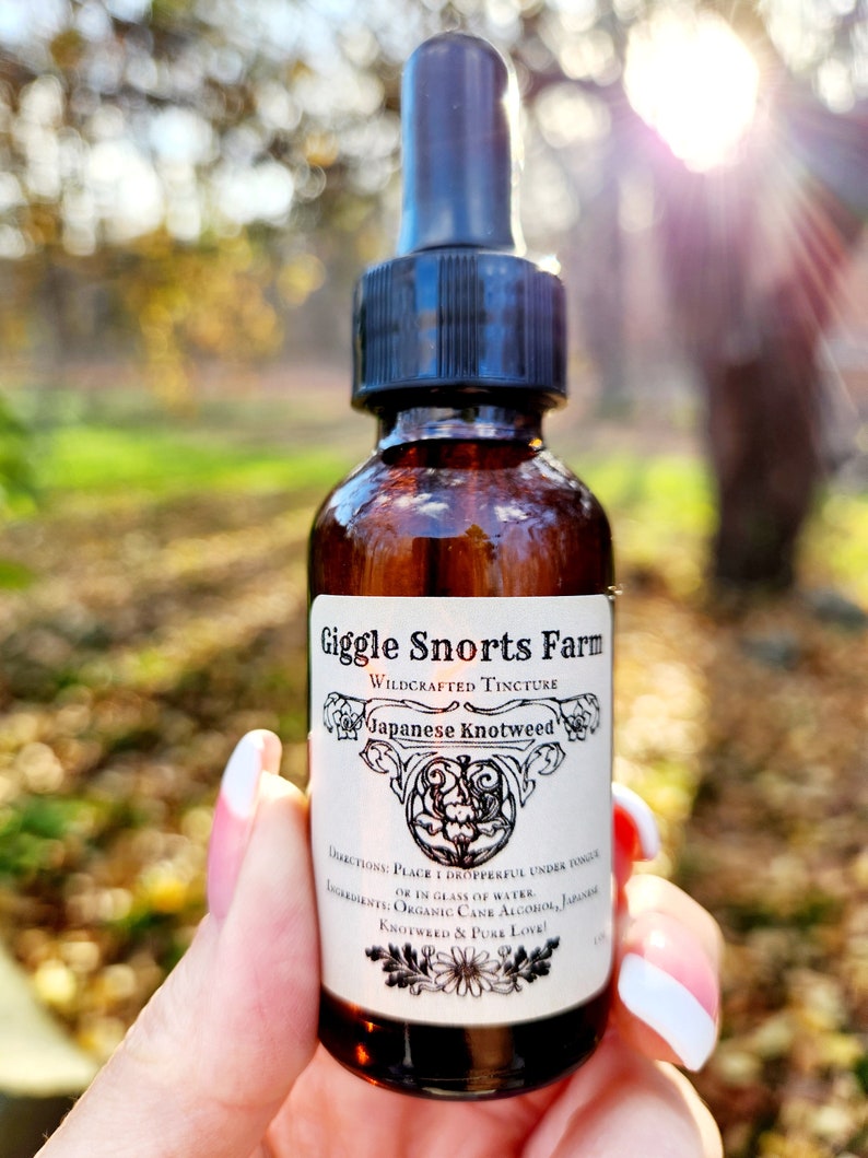 May include: A brown glass bottle with a dropper top and a white label that reads "Giggle Snorts Farm Wildcrafted Tincture Japanese Knotweed". The label also includes directions for use and ingredients, which are "Organic Cane Alcohol, Japanese Knotweed & Pure Love!"