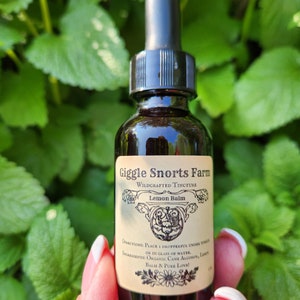 May include: A dark brown glass bottle with a black dropper top and a white label that reads "Giggle Snorts Farm Wildcrafted Tincture Lemon Balm". The label also includes directions for use and ingredients, which are "Organic Cane Alcohol, Lemon Balm & Pure Love!"