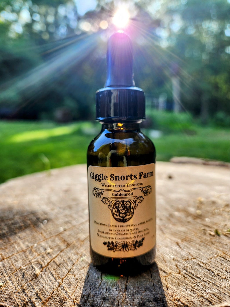 Puede incluir: Una botella de vidrio con un gotero y una etiqueta que dice "Giggle Snorts Farm Wildcrafted Tincture Goldenrod". La botella est&aacute; sobre una superficie de madera.