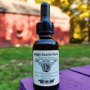 Organic Ghost Pipe Tincture ~ Monotropa uniflora