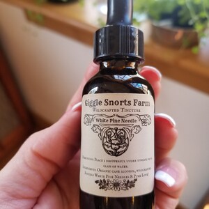K&ouml;nnte beinhalten: Eine braune Glasflasche mit Tropfer und einem wei&szlig;en Etikett mit der Aufschrift "Giggle Snorts Farm Wildcrafted Tincture White Pine Needle". Das Etikett enth&auml;lt auch Gebrauchsanweisungen und Zutaten, n&auml;mlich "Bio-Rohrzuckeralkohol, wildgewachsenes Wei&szlig;tannen-Nadel&ouml;l und reine Liebe."