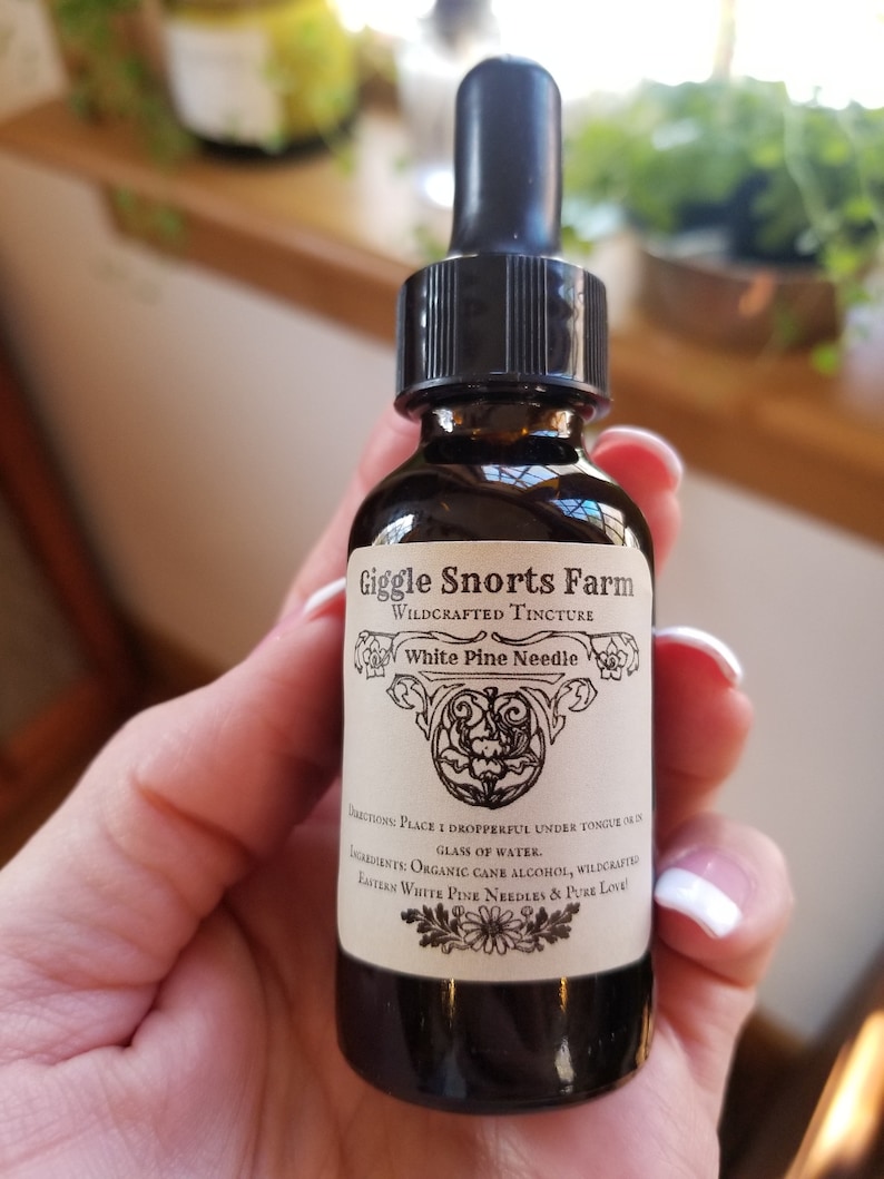 K&ouml;nnte beinhalten: Eine braune Glasflasche mit Tropfer und einem wei&szlig;en Etikett mit der Aufschrift "Giggle Snorts Farm Wildcrafted Tincture White Pine Needle". Das Etikett enth&auml;lt auch Gebrauchsanweisungen und Zutaten, n&auml;mlich "Bio-Rohrzuckeralkohol, wildgewachsenes Wei&szlig;tannen-Nadel&ouml;l und reine Liebe."