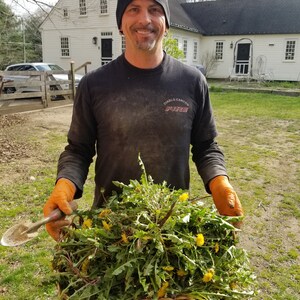 May include: A person wearing a black beanie and a black t-shirt with the text "Diablo Canyon Fire" is holding a basket full of dandelions. The person is wearing orange gloves and is standing in front of a white house.
