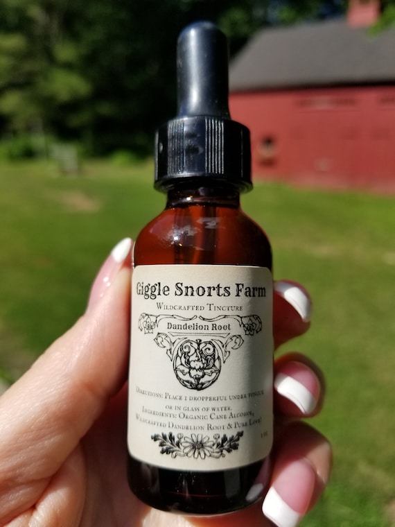 Organic Dandelion Root Tincture ~Taraxacum officinale~