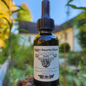 Organic Mullein Tincture ~ Verbascum thapsus