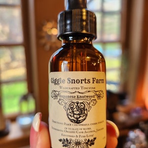 May include: A glass bottle with a dropper top and a label that reads "Giggle Snorts Farm Wildcrafted Tincture Japanese Knotweed". The label also includes directions for use and ingredients, which include organic cane alcohol and Japanese knotweed.