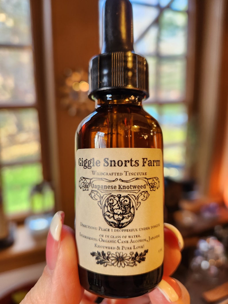 May include: A glass bottle with a dropper top and a label that reads "Giggle Snorts Farm Wildcrafted Tincture Japanese Knotweed". The label also includes directions for use and ingredients, which include organic cane alcohol and Japanese knotweed.